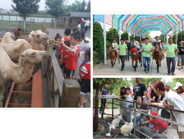 1579166733506578.png image.png